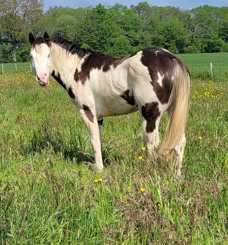 Photo et propriété élevage Twins Ranch